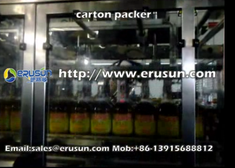 carton packer.flv