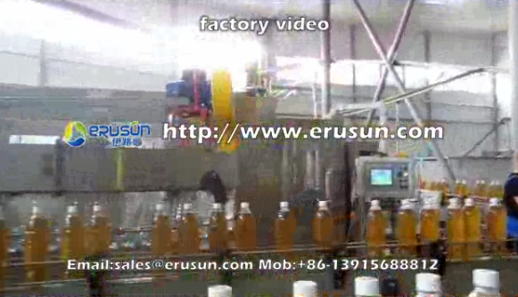 flavor CSD bottling plant.flv