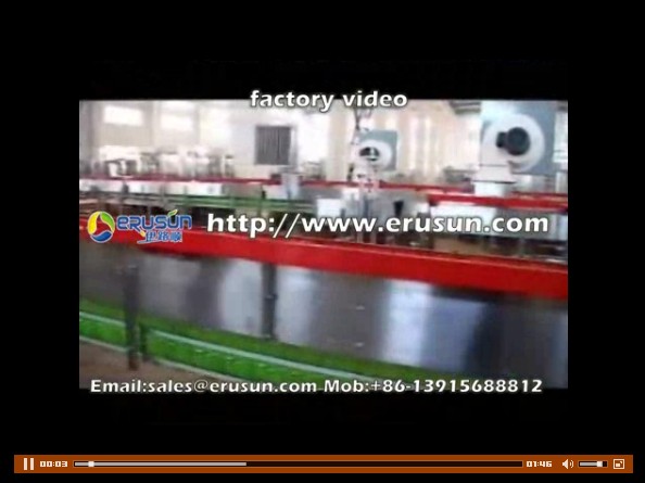 factory video.flv